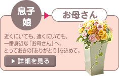 ���q�E�������ꂳ��