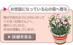 �������b�ɂȂ��Ă���S�̕�֑���