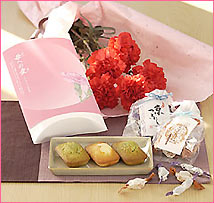 ���s��؉��u��̓��l�ߍ��킹�Z�b�g�v