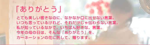 �u���肪�Ƃ��v�ƂĂ������������Ȃ̂ɁA�Ȃ��Ȃ����ɏo���Ȃ����t�B�����v���Ă��邯��ǁA���ꂾ������`���Ȃ����t�B�����m���Ă���Ȃ��ŁA�����΂�D���ȁA���t�B���N�̕�̓��́A����ȁu���肪�Ƃ��v���A�J�[�l�[�V�����̉Ԃɑ����āA����܂��B