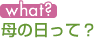 母の日って?