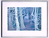 �v���n�[�h�w���I�g�����@���R�@�΁u���n�̐X�v���ʌ���Ły���E�̖���فz